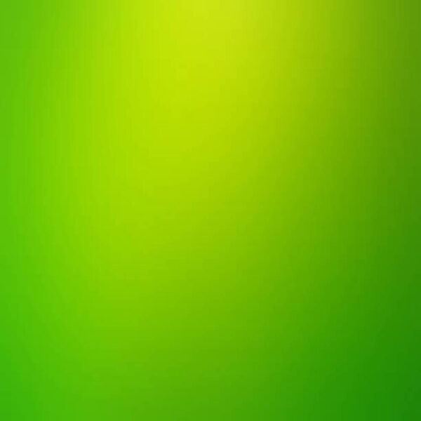 Xbox Lime-Green Skin