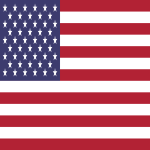 Xbox US Flag Skin